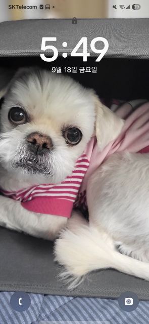 강구름의 추모 사진
