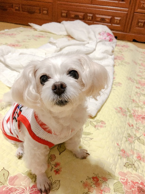 김깐난의 추모 사진