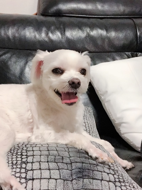 승기의 추모 사진