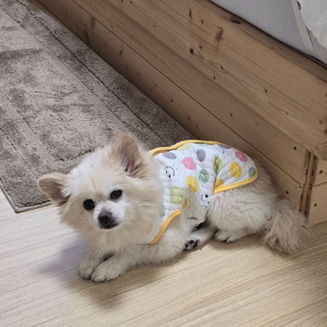 테리의 추모 사진