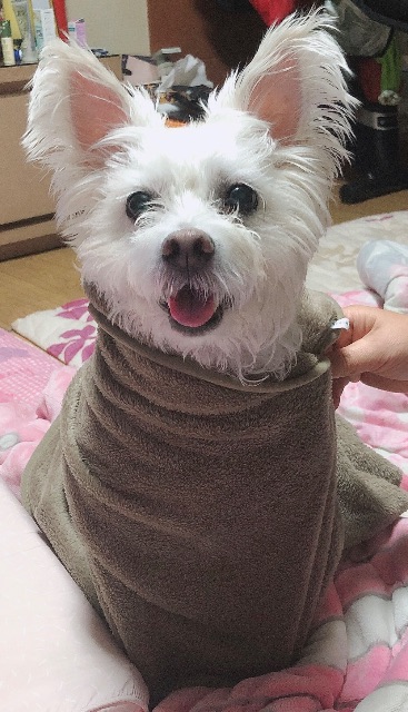 하랑의 추모 사진