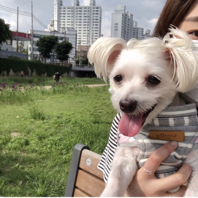 구름의 추모 사진