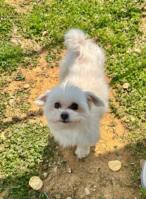 복이🤍의 추모 사진