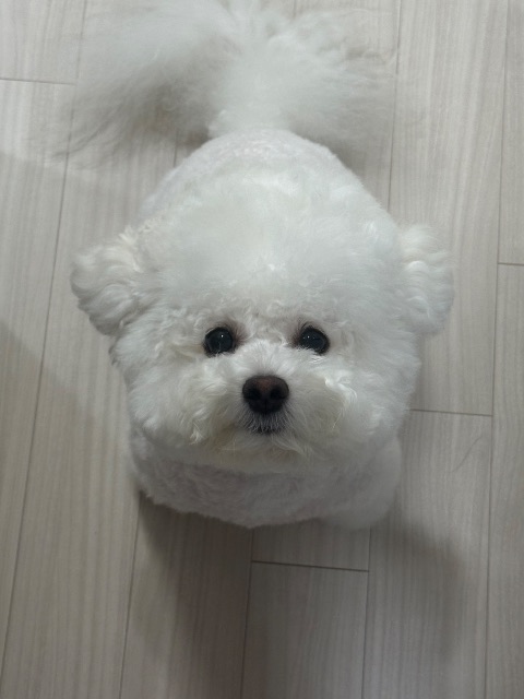 세강의 추모 사진
