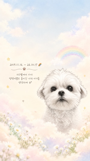 심다롱의 추모 사진