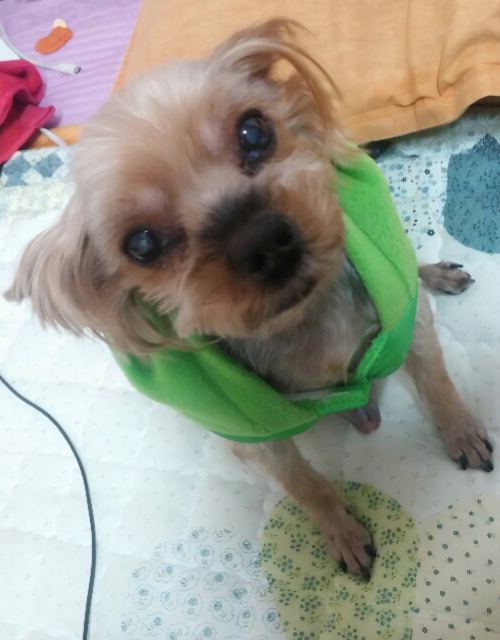 은비의 추모 사진