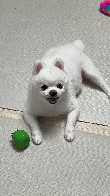 겨울의 추모 사진