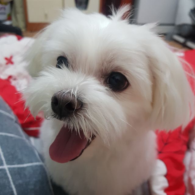 하루의 추모 사진
