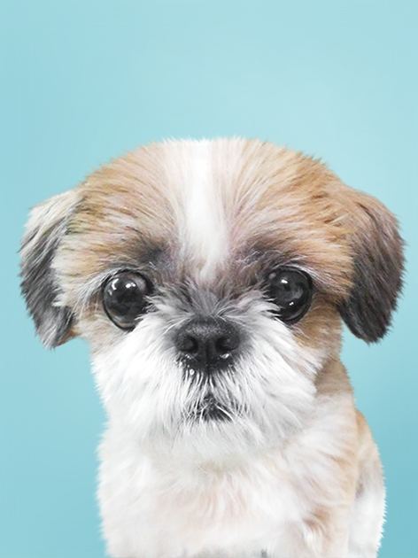 바다의 추모 사진