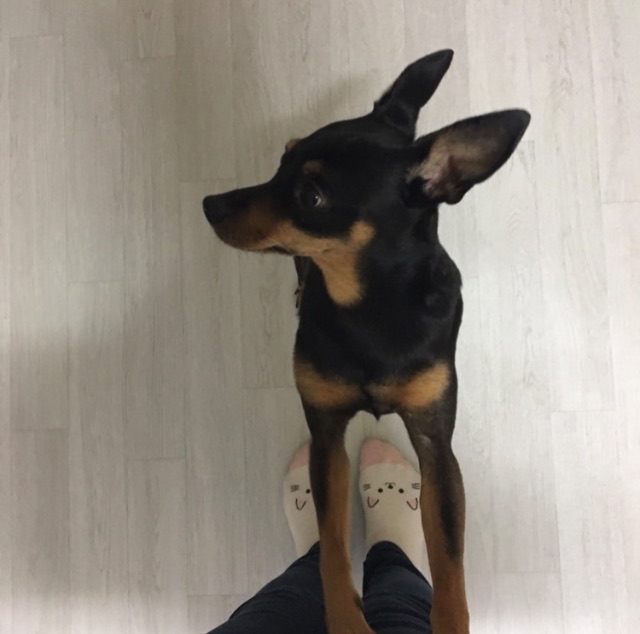 까비의 추모 사진