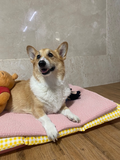 자두의 추모 사진
