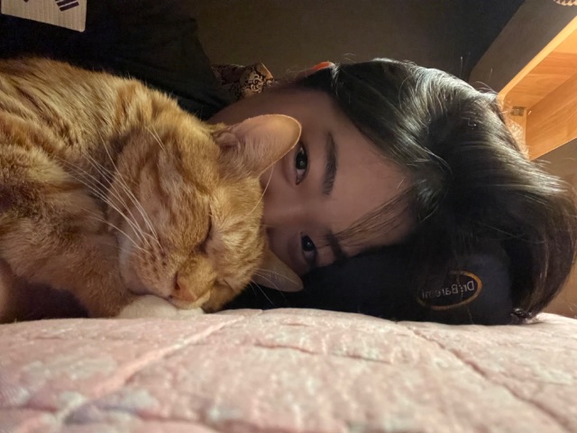 꾹이의 추모 사진