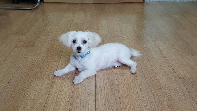 겨울의 추모 사진