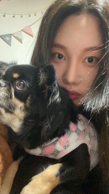 꽁이의 추모 사진