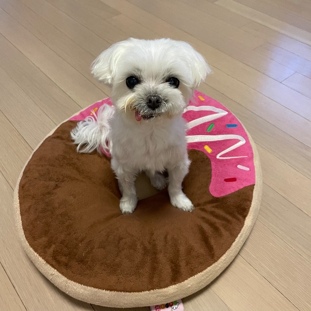 김구름의 추모 사진