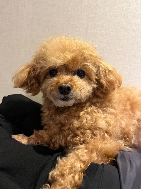 💕우리애기💕의 추모 사진