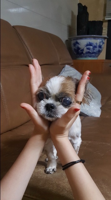 보름의 추모 사진