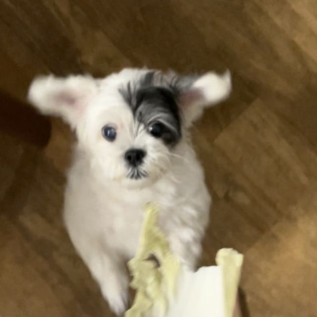 박보리의 추모 사진