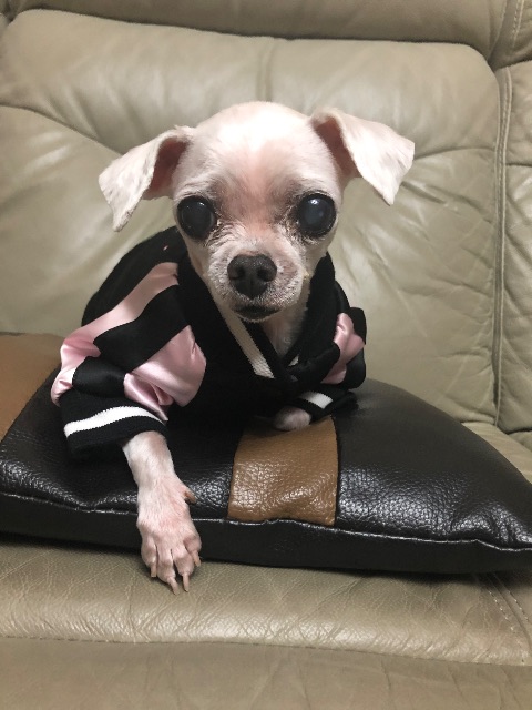 김또미의 추모 사진