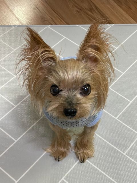 ❤️코난❤️의 추모 사진