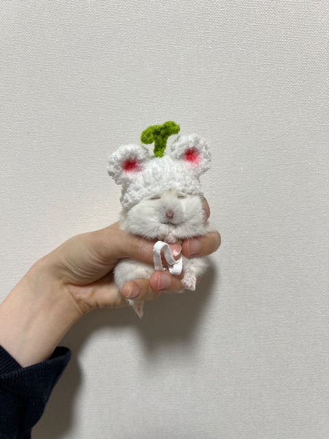 옹식의 추모 사진