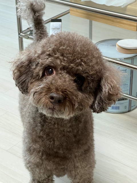 영도의 추모 사진