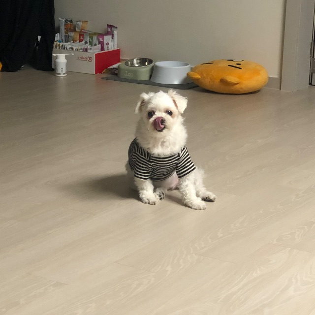 순이의 추모 사진