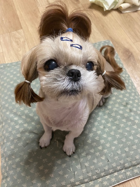 뮤의 추모 사진