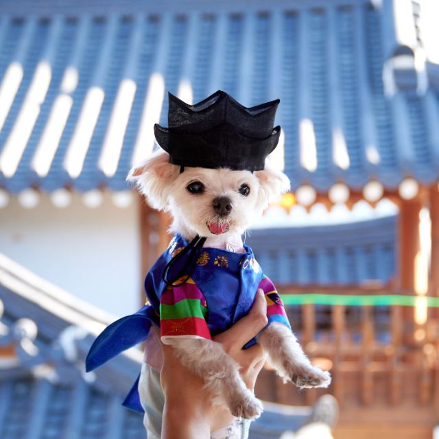 이똘의 추모 사진