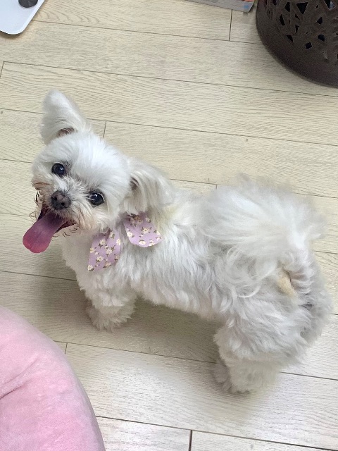 한구름의 추모 사진