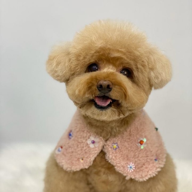❤️유레이❤️의 추모 사진