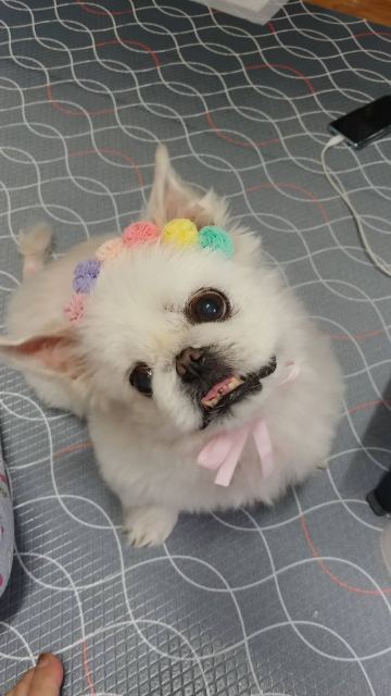유빈의 추모 사진