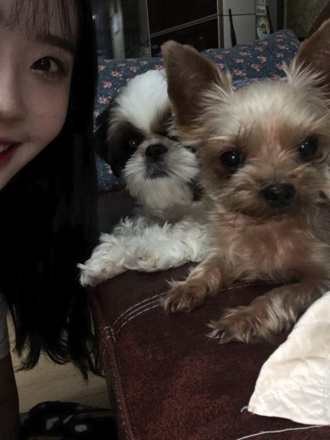 꽃님이의 추모 사진