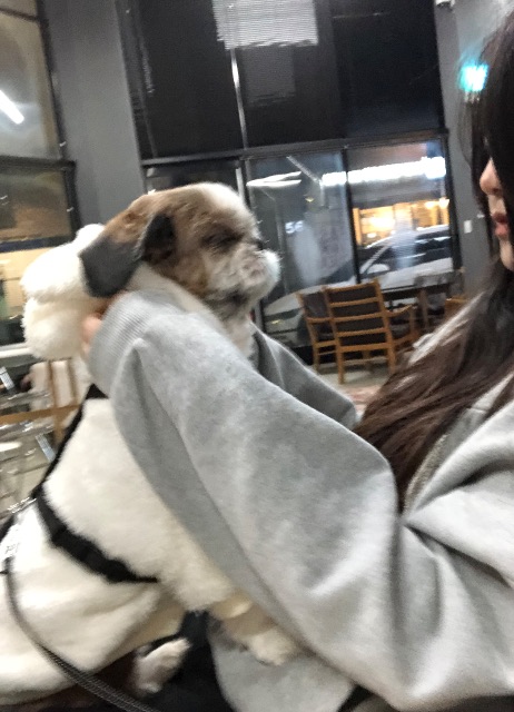 천지의 추모 사진