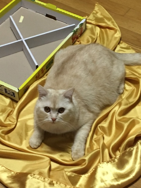 쭈니의 추모 사진