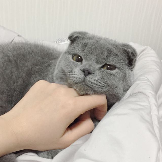 먼지의 추모 사진