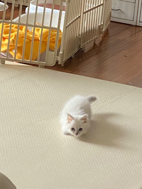 똑딱이의 추모 사진