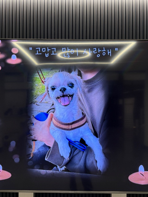뚱이의 추모 사진