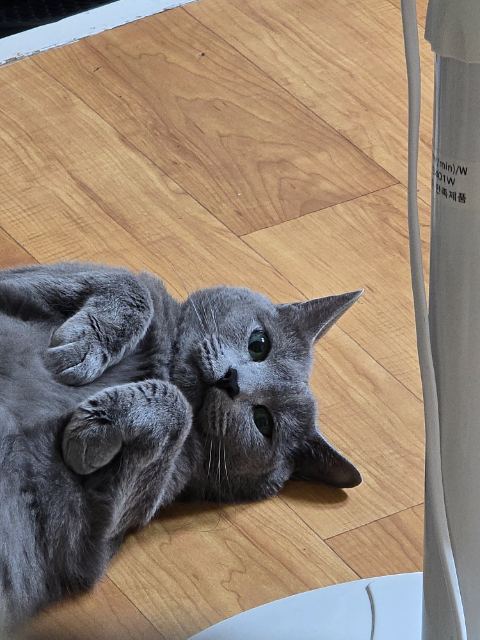 방구의 추모 사진