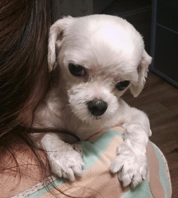 서리🩵의 추모 사진