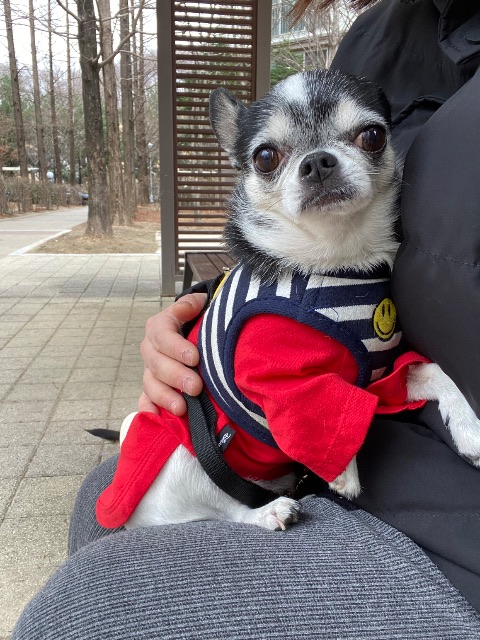김땅콩의 추모 사진
