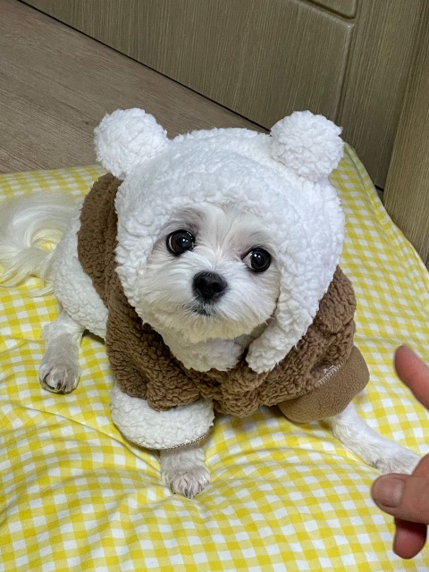 권두산의 추모 사진