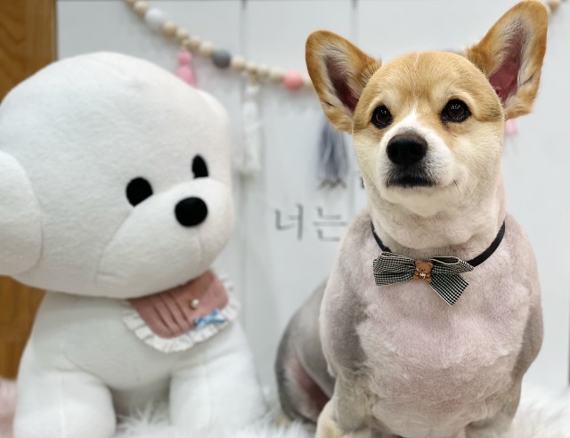 쥬르의 추모 사진