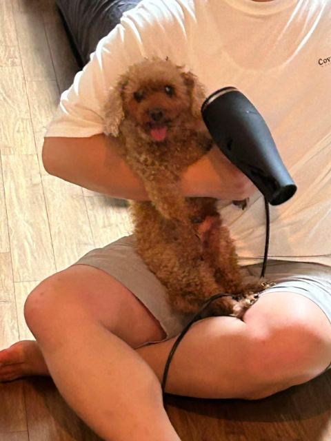 까미의 추모 사진