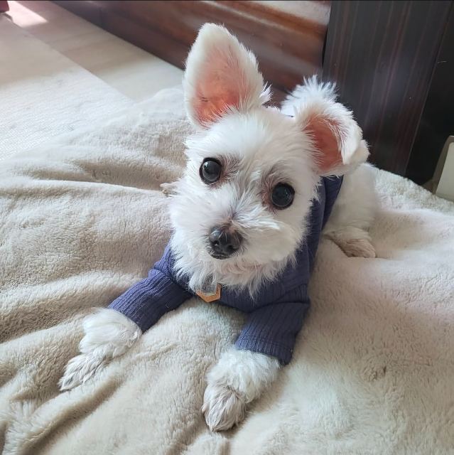 김해피❤️의 추모 사진