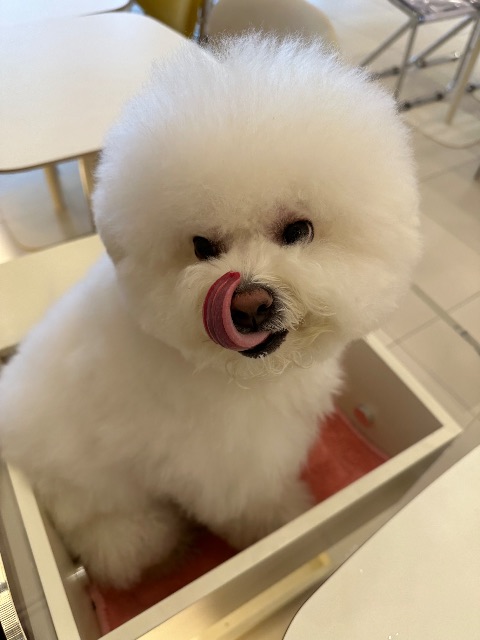 하루의 추모 사진