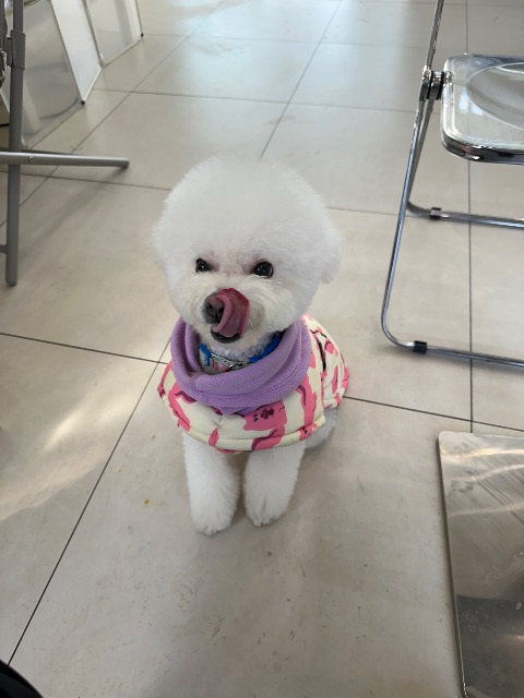 하루의 추모 사진
