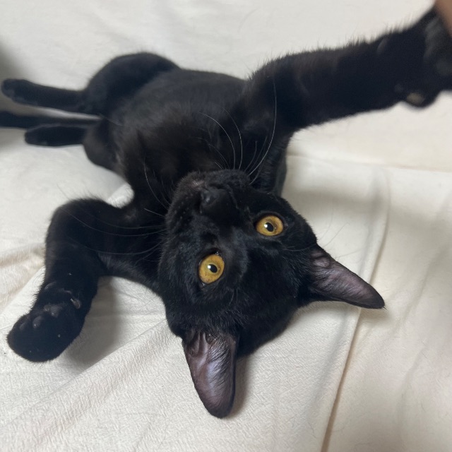 강덕의 추모 사진