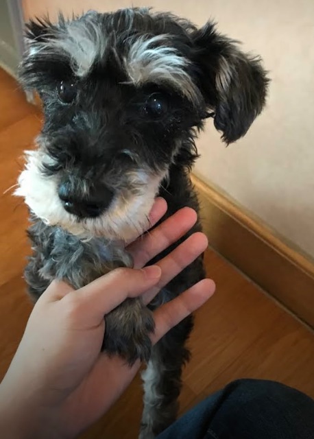 지현의 추모 사진
