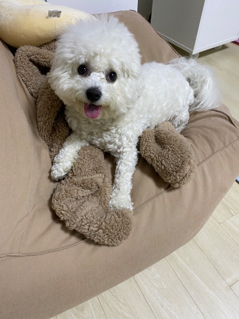 엘리💛의 추모 사진